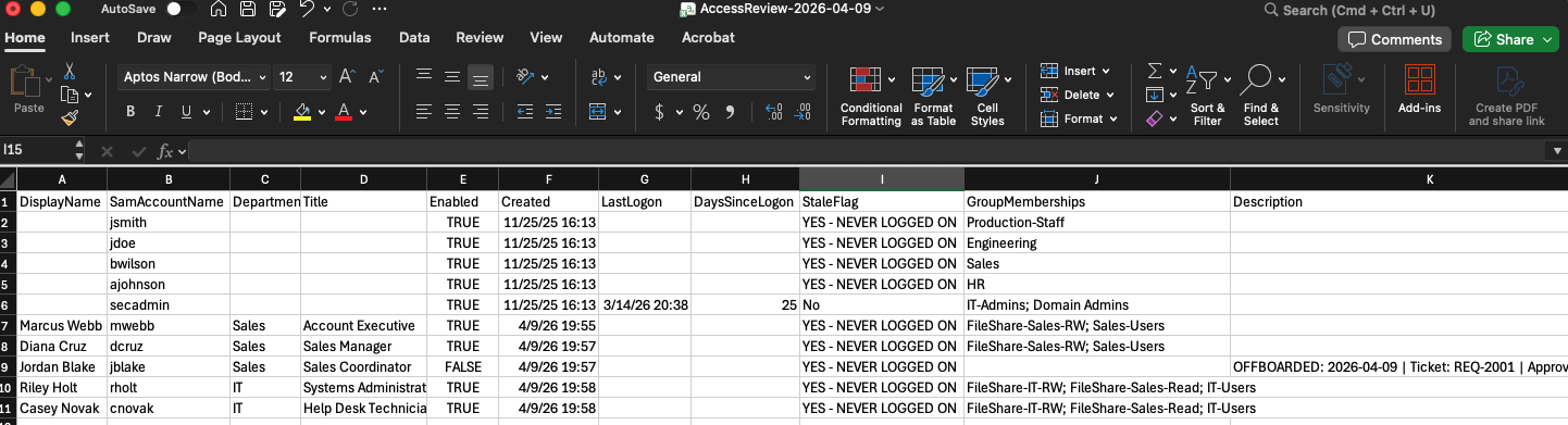 Access review CSV opened in Excel