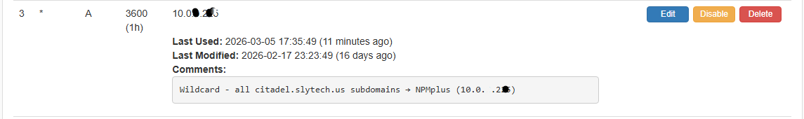 Technitium Wildcard Record