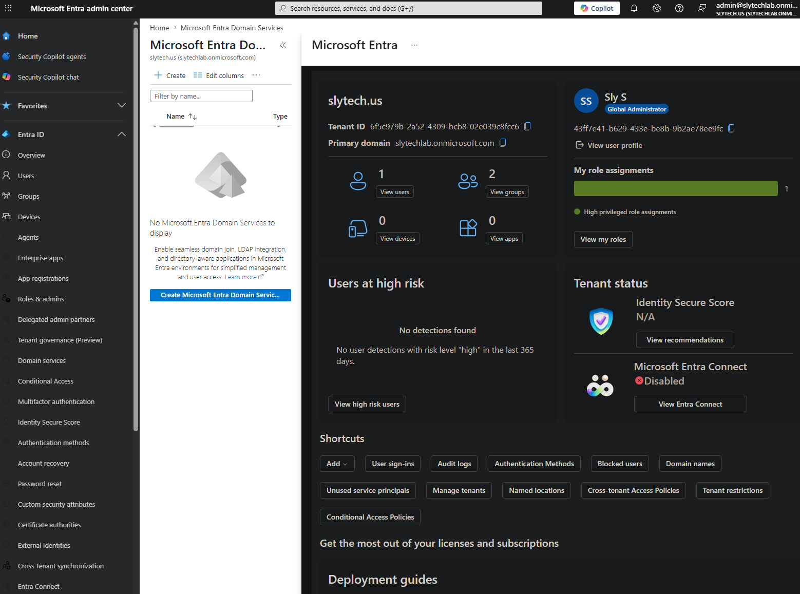Microsoft Entra admin center showing slytech.us domain verification