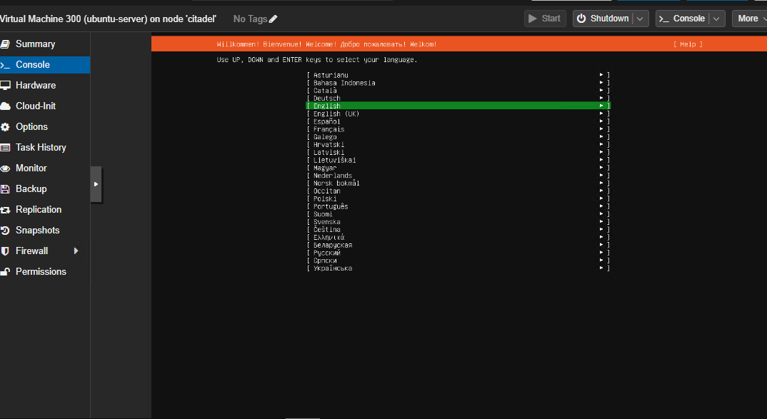Ubuntu Installer