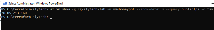 Public IP address assigned to the honeypot VM