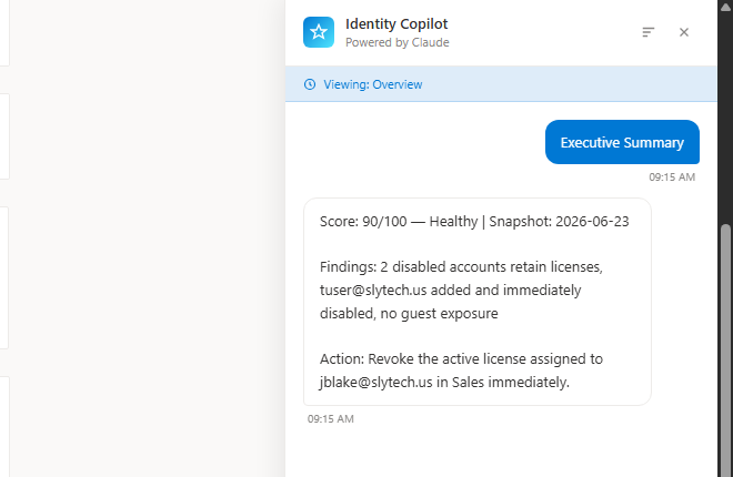 Copilot panel showing compact executive summary output